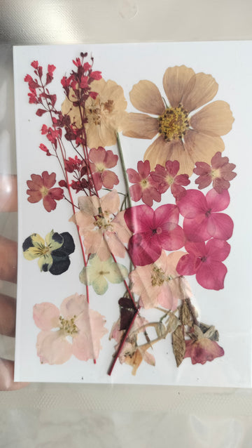 Pressed Flowers