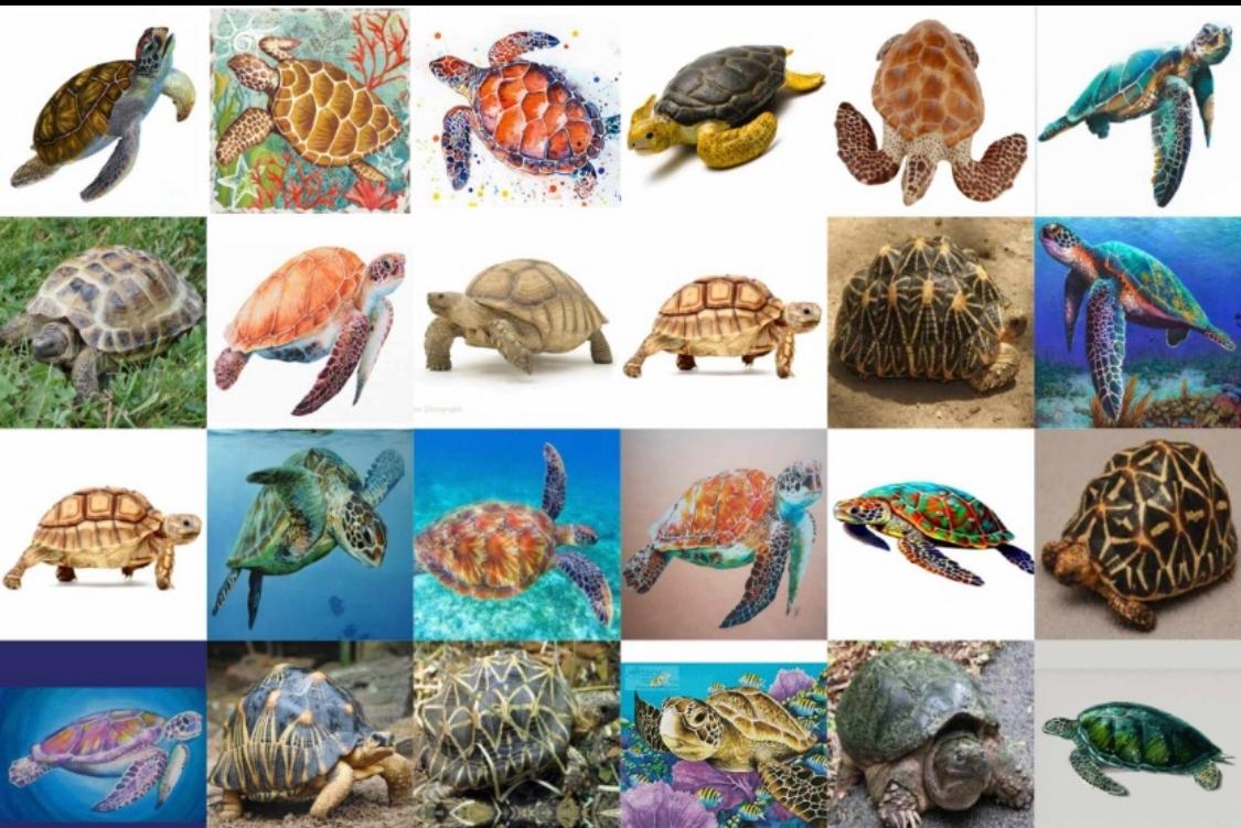 Turtles Resin color sticker