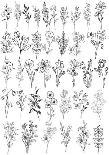 Flower Line Art Insert sheet