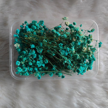 Dry Flower Box Gypsy peacock Green
