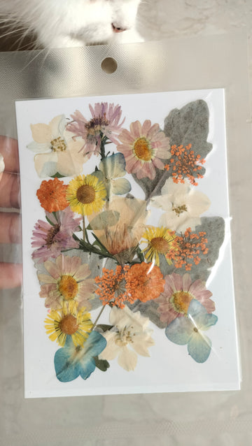 Pressed Flowers