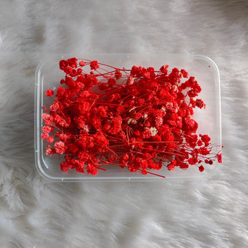 Dry Flower Box Gypsy Red