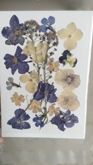 Pressed Flowers